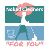 Naked Cleaners and Nude Maids USA